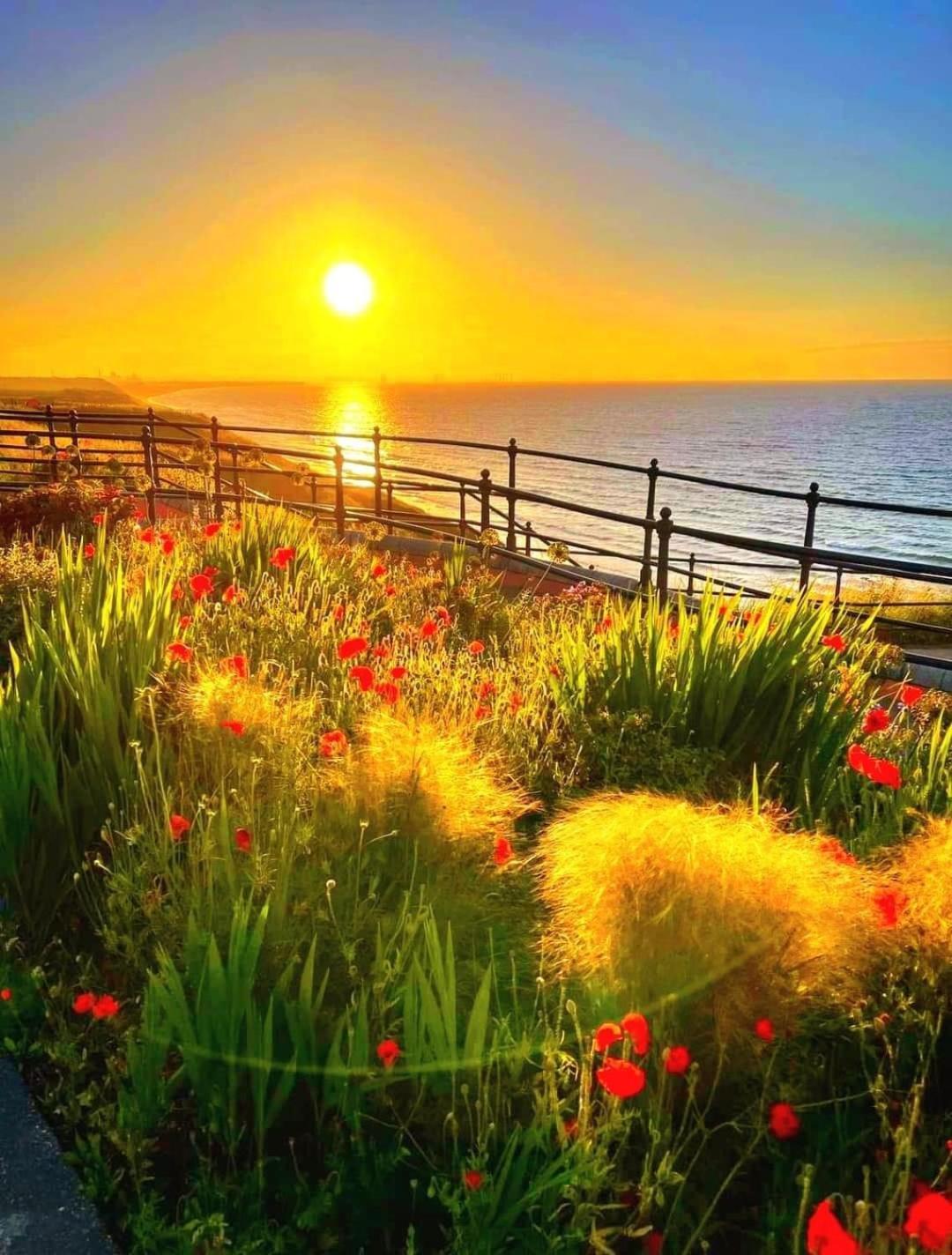 Sea Forever Oceanfront Home Perfectly Saltburn Exteriör bild