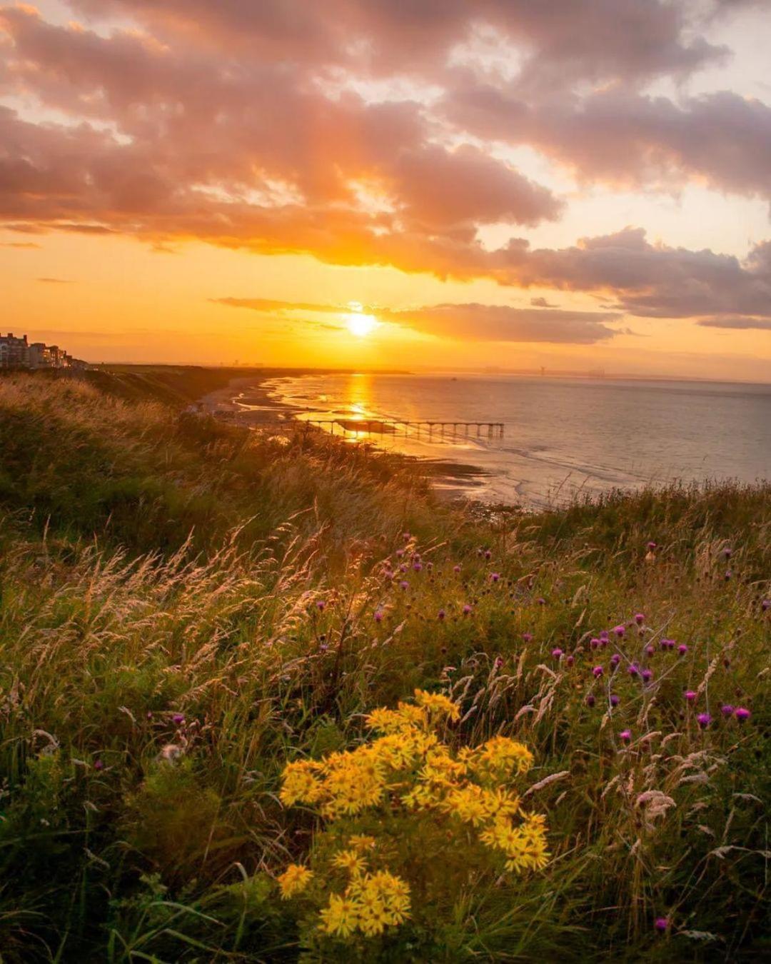 Sea Forever Oceanfront Home Perfectly Saltburn Exteriör bild